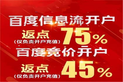 SEM广告创意与执行：成功案例分享